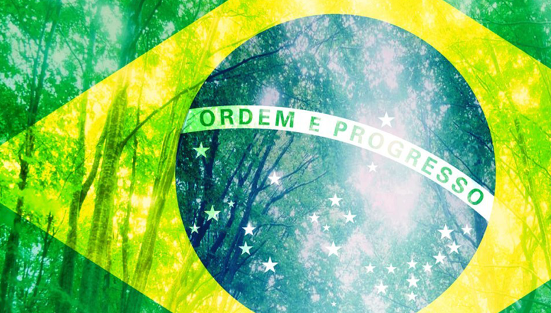 Brasil e Meio Ambiente